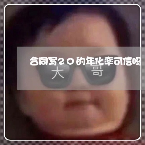合同写20的年化率可信吗/2023060406948