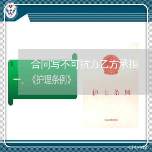 合同写不可抗力乙方承担/2023041165726