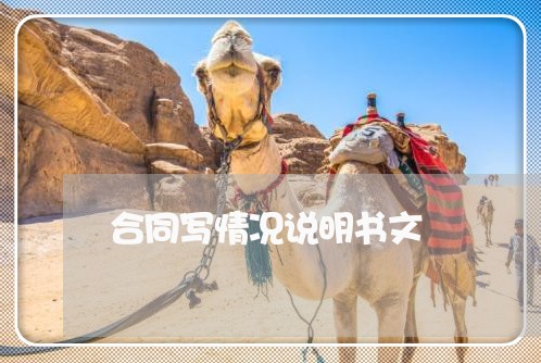 合同写情况说明书文/2023040340594 合同写情况说明书文/2023040340594
