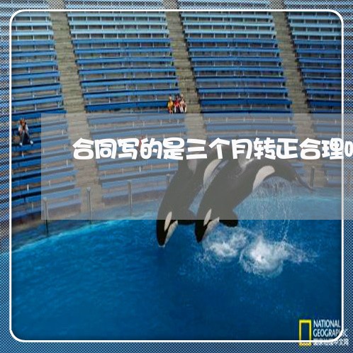 合同写的是三个月转正合理吗/2023061640502
