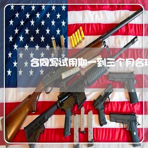 合同写试用期一到三个月合理吗/2023061607968 合同写试用期一到三个月合理吗/2023061607968