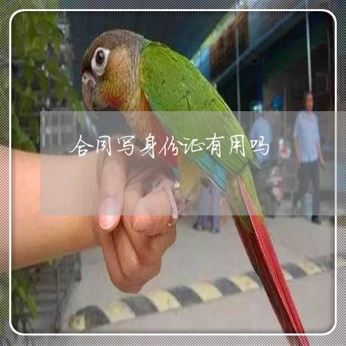 合同写身份证有用吗/2023041752694