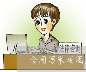 合同写采用固定薪资的形式/2023022705248