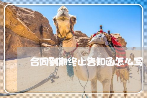 合同到期终止告知函怎么写/2023060348402