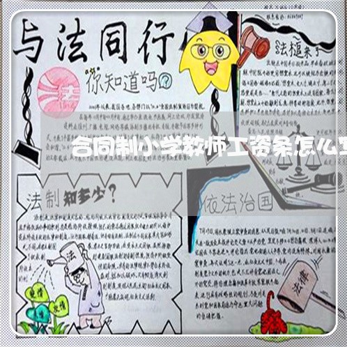 合同制小学教师工资条怎么写/2023061653162