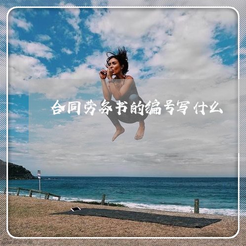 合同劳务书的编号写什么/2023022659704 合同劳务书的编号写什么/2023022659704