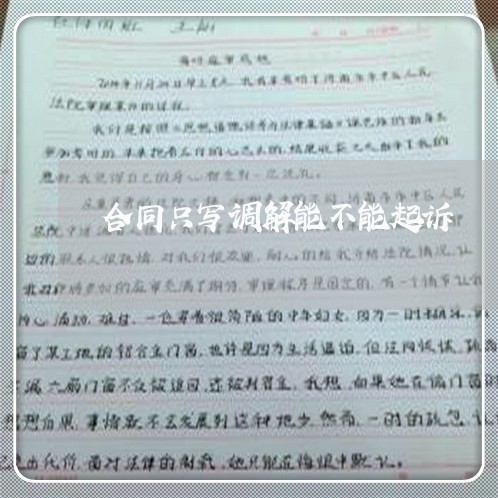 合同只写调解能不能起诉/2023042104926
