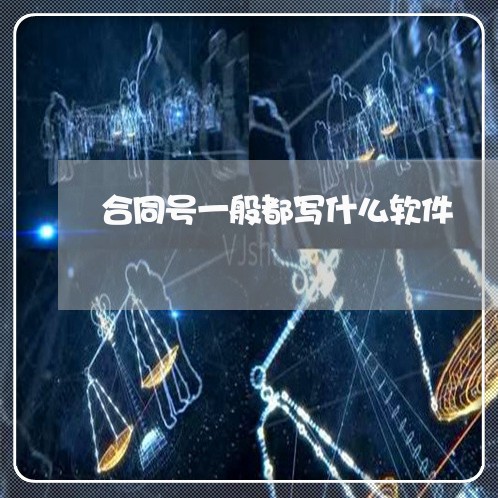 合同号一般都写什么软件/2023060249371 合同号一般都写什么软件/2023060249371