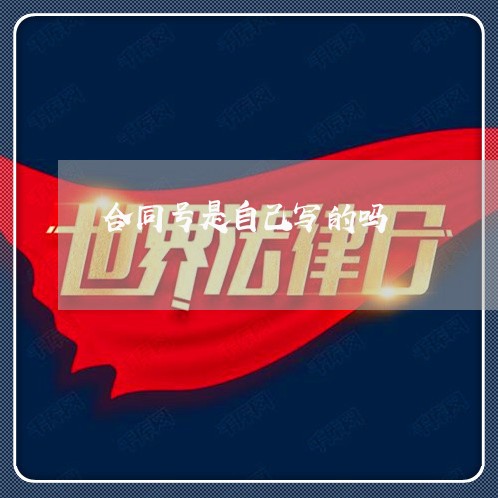 合同号是自己写的吗/2023041295717 合同号是自己写的吗/2023041295717