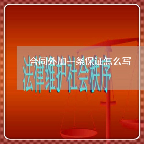 合同外加一条保证怎么写/2023041761593 合同外加一条保证怎么写/2023041761593