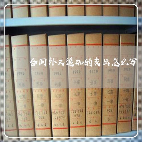 合同外又追加的支出怎么写/2023041484826