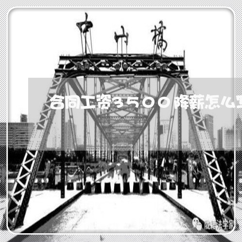 合同工资3500降薪怎么写/2023042375814