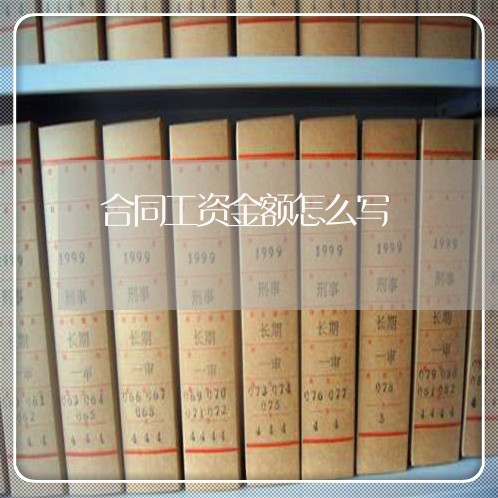 合同工资金额怎么写/2023041583948 合同工资金额怎么写/2023041583948