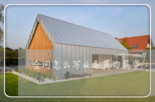 合同怎么写业务员的薪资/2023042294814