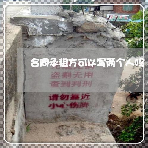 合同承租方可以写两个人吗/2023061680481 合同承租方可以写两个人吗/2023061680481