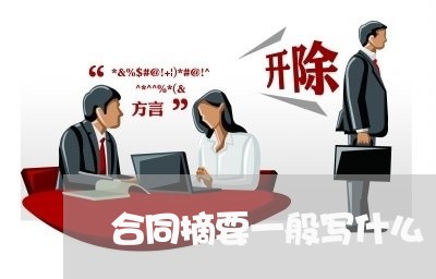 合同摘要一般写什么/2023041107057