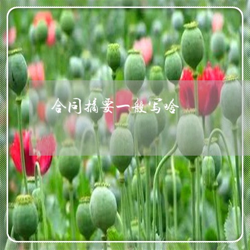 合同摘要一般写啥/2023022771725 合同摘要一般写啥/2023022771725