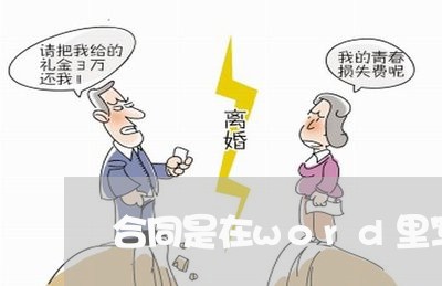 合同是在word里写的吗/2023041577372
