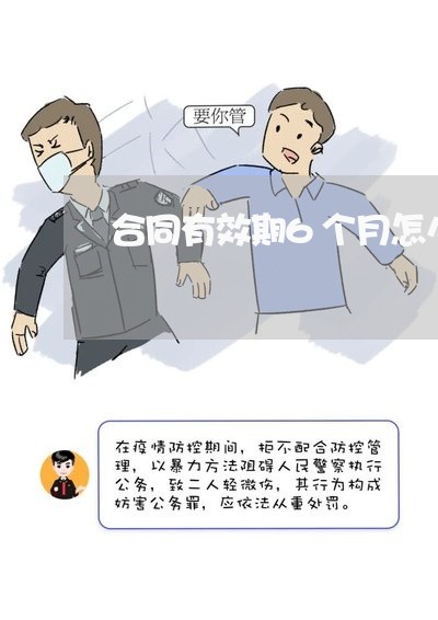 合同有效期6个月怎么写/2023061672806