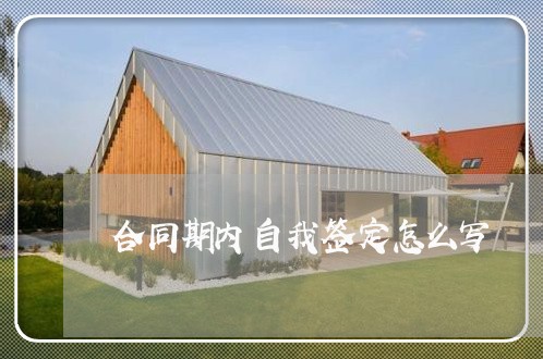 合同期内自我签定怎么写/2023041397351 合同期内自我签定怎么写/2023041397351