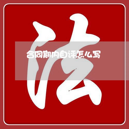 合同期内自评怎么写/2023030439682