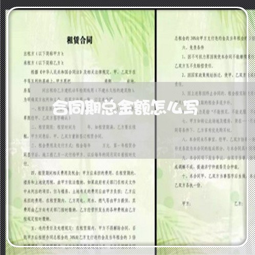 合同期总金额怎么写/2023011690747 合同期总金额怎么写/2023011690747