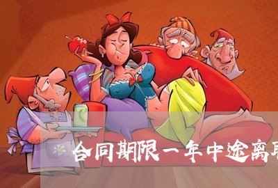 合同期限一年中途离职怎么写/2023061614937