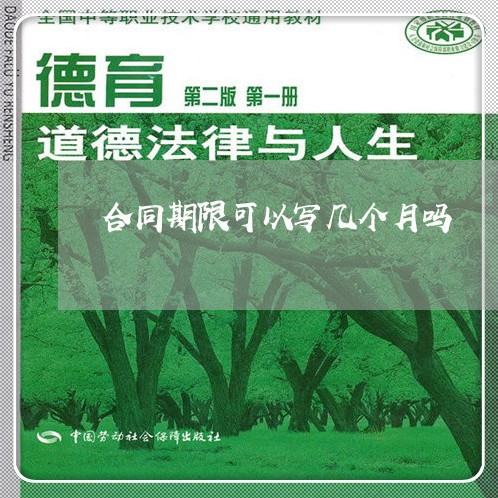 合同期限可以写几个月吗/2023060769483
