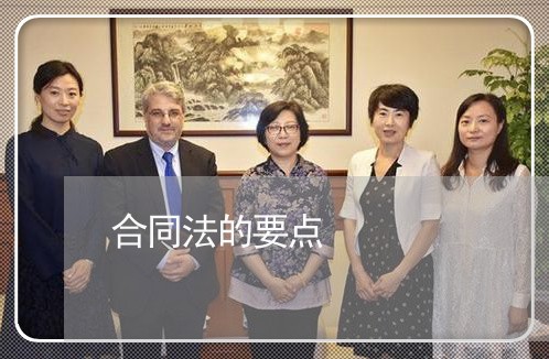 合同法的要点 合同法的要点