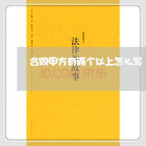合同甲方有两个以上怎么写/2023060525838 合同甲方有两个以上怎么写/2023060525838