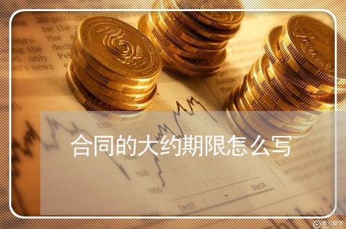 合同的大约期限怎么写/2023022660691 合同的大约期限怎么写/2023022660691