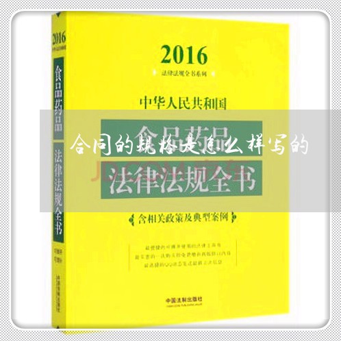 合同的规格是怎么样写的/2023060212939