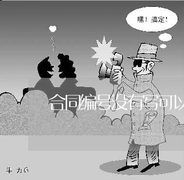 合同编号没有写可以吗/2023022705949