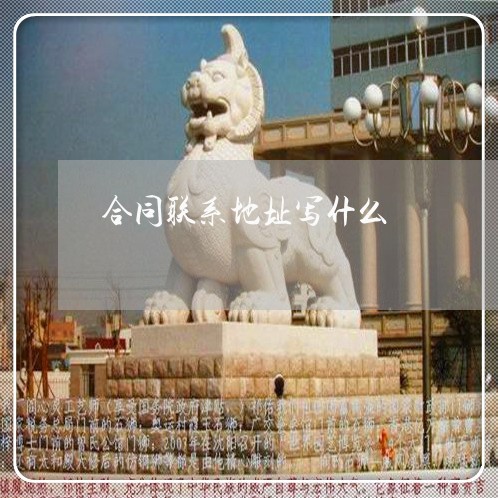 合同联系地址写什么/2023022704836 合同联系地址写什么/2023022704836