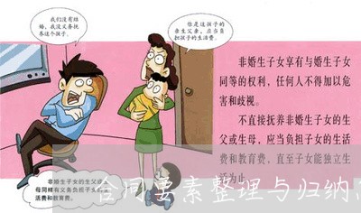 合同要素整理与归纳怎么写/2023040295938
