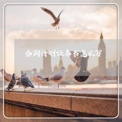 合同计划任务书怎么写/2023041563785