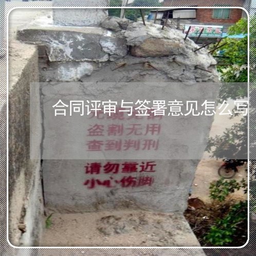 合同评审与签署意见怎么写/2023022672525