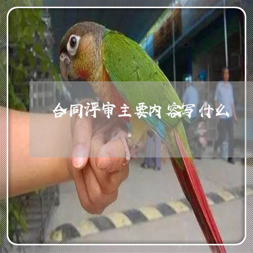 合同评审主要内容写什么/2023011607269 合同评审主要内容写什么/2023011607269