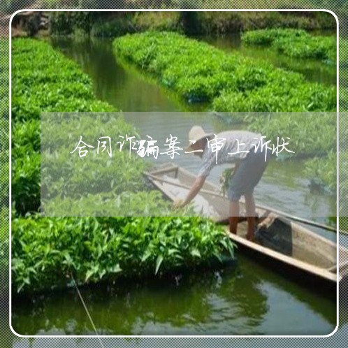 合同诈骗案二审上诉状/2023041363795 合同诈骗案二审上诉状/2023041363795