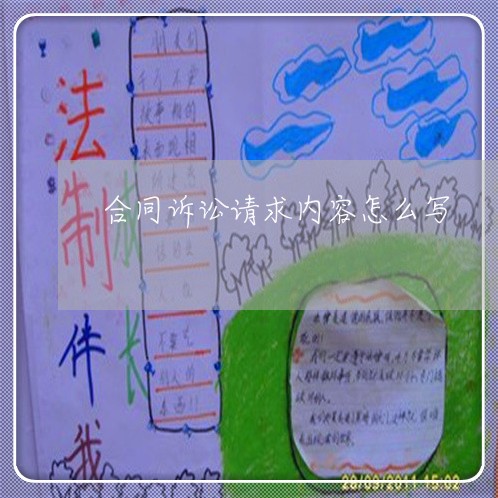合同诉讼请求内容怎么写/2023022656158