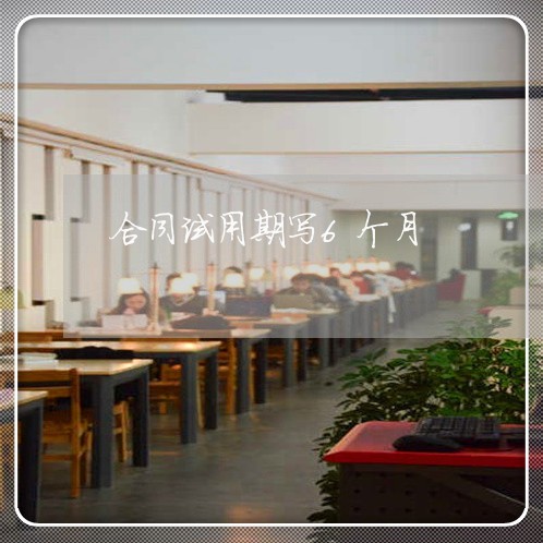 合同试用期写6个月/2023060537268 合同试用期写6个月/2023060537268