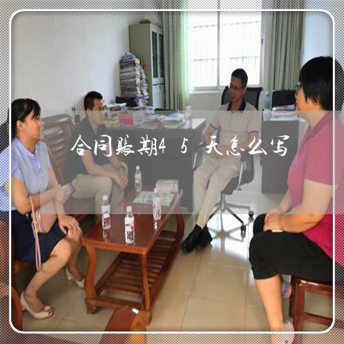 合同账期45天怎么写/2023040393705