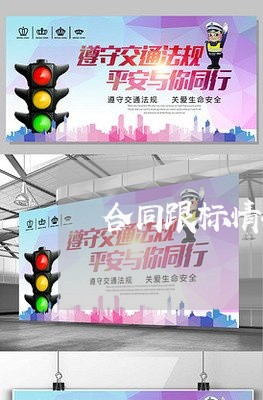 合同跟标情况说明怎么写/2023061510372