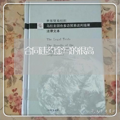 合同违约金写的很高/2023022661695 合同违约金写的很高/2023022661695