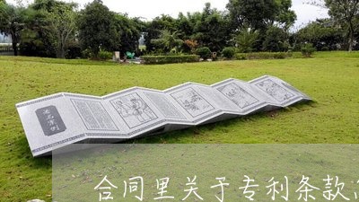 合同里关于专利条款怎么写/2023022725360