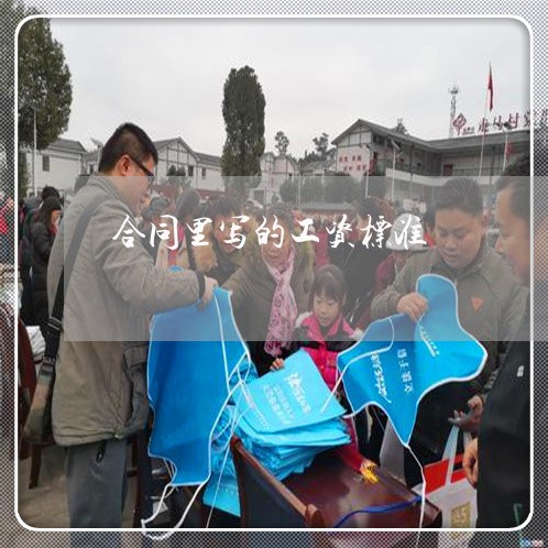 合同里写的工资标准/2023011685836 合同里写的工资标准/2023011685836