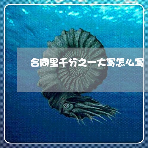 合同里千分之一大写怎么写/2023061641594