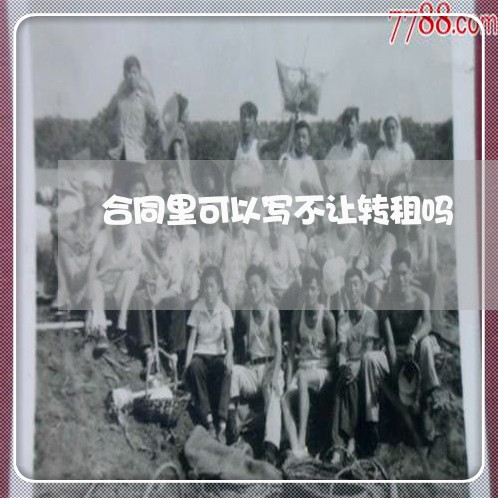 合同里可以写不让转租吗/2023041017938 合同里可以写不让转租吗/2023041017938