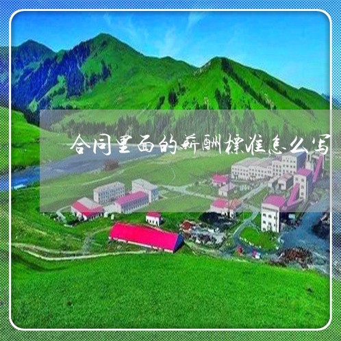 合同里面的薪酬标准怎么写/2023022785949