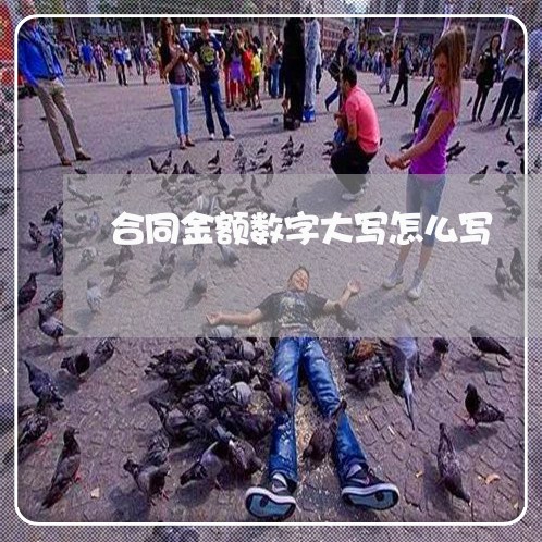 合同金额数字大写怎么写/2023041226158 合同金额数字大写怎么写/2023041226158